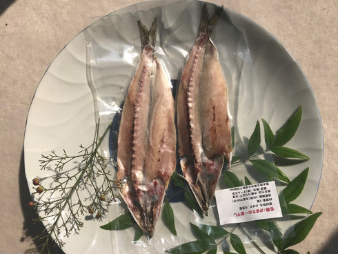 旬魚一夜干し【カマス】